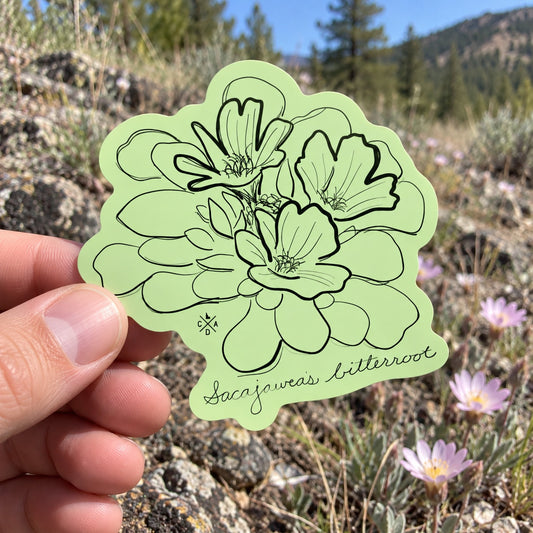 Sacajawea's Bitterroot sticker held outdoors
